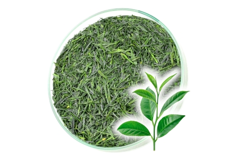 Herbata Zielona JAPAN GYOKURO YUTAKA Szlachetne Krople Rosy !!